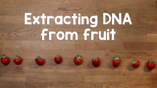 Extracting DNA from fruit screenshot 4