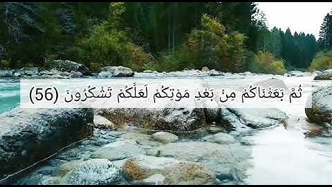 سورة البقرة من الاية 56 الى الاية 60 بصوت الشيخ صهيب حبلي