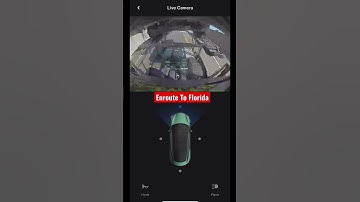 Tesla Sentry Mode  #shorts #tesla #sentrymode