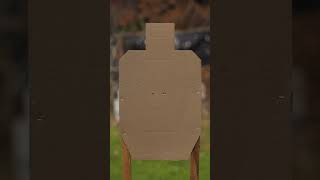 Make USPSA Targets APPEAR Precision Targets Mode