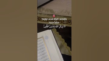#تلاوة_خاشعة #راحة_نفسية #تلاوة_هادئة #القرآن_ #الهدايا #رمضان #راحه_وطمأنينه_للقلب #القرآن_الكريم