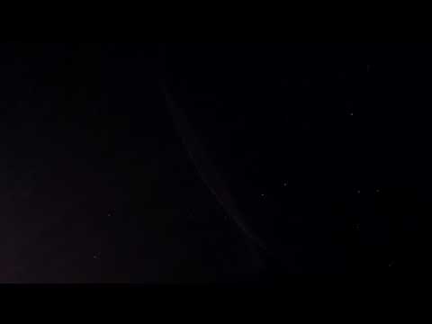 Royalty Free Natural Floating Organic Particles Stock Video Footage Clip