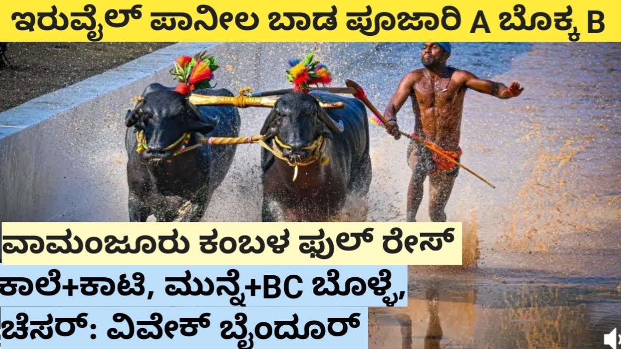 iruvailu paanila race at vamanjuru kambal 2023