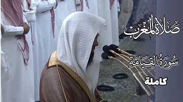 سورة القيامة كاملة | مغربية الأربعاء 11-5-1446هـ | أ. د. محمد بن أحمد برهجي
