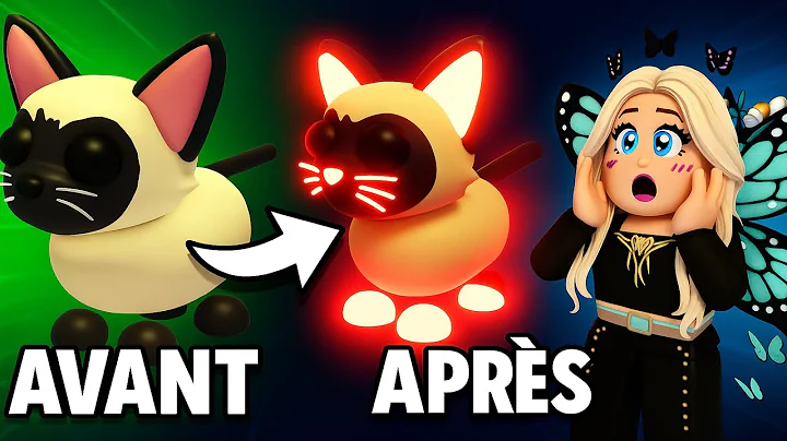 Video 10649651: siamese cat, adoptable pet, pet show, home pets