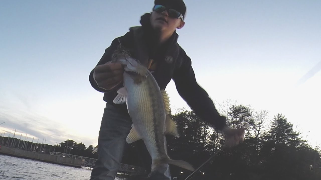 Big Spotted Bass Fishing Lake Lanier "PowerTeam Lures and Jigs" YouTube