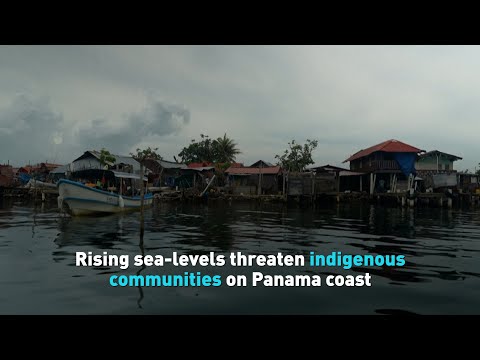 Rising sea levels threaten indigenous communities on Panama coast
