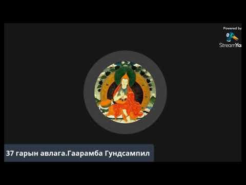 Видео: Францын Ardennais адууны үүлдэр харшилтай, эрүүл мэнд, амьдрах хугацаа