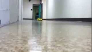 Vehicle Collision Avoidance using Ultrasonic Detection
