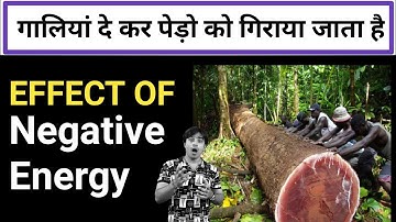 यहां पेड़ों को गालियां बोलकर गिराया जाता हैं 🙄 #shorts / Jasmin Patel / Easily Explained