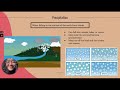 Cycles Of Matter In Ecosystems: Exploring Water Carbon And Nitrogen