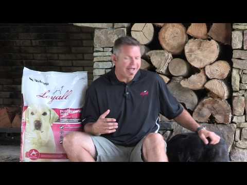 wildology dog food reviews