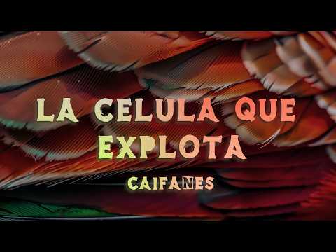 Caifanes - La Célula Que Explota (Lyrics/Letra)