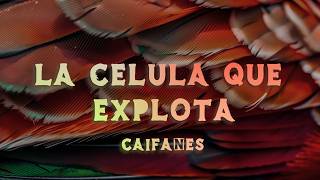 Caifanes - La Célula Que Explota (Lyrics/Letra)