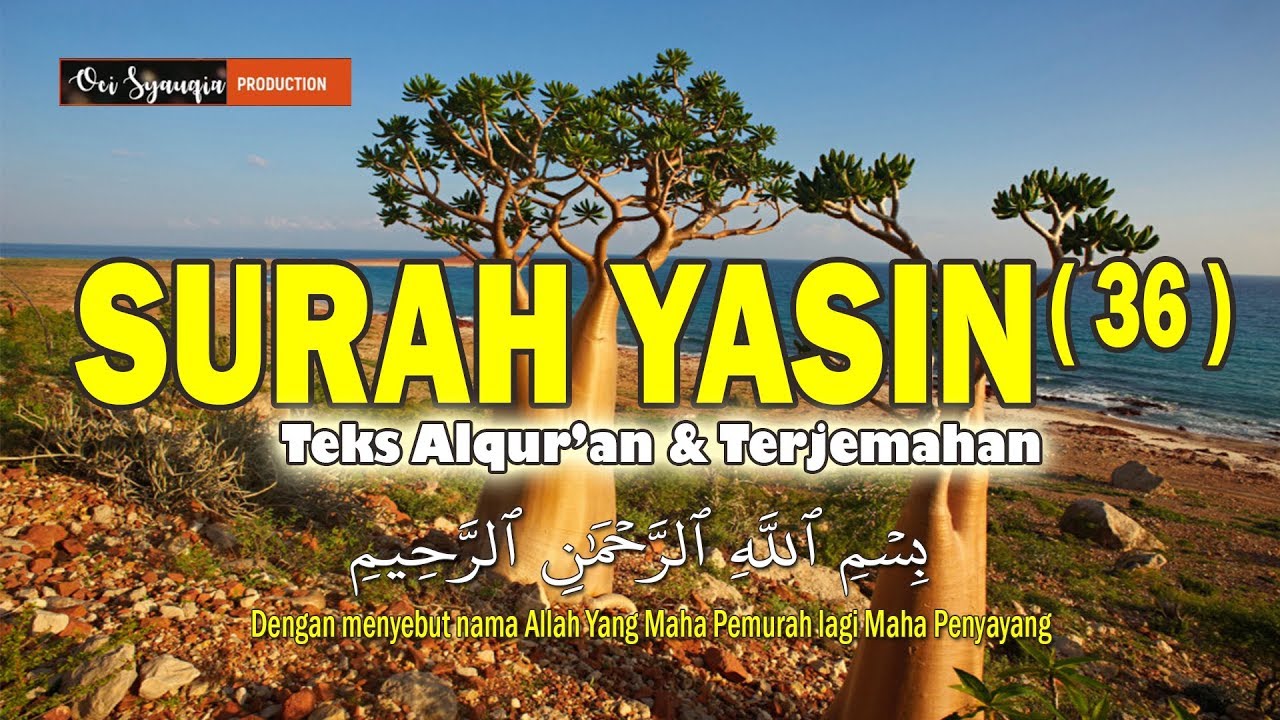 Download 83+ Contoh Surat Yasin Zain Abu Kautsar Gratis Terbaru