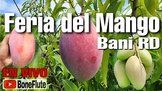 Feria del Mango Bani Republica Dominicana en vivo. By BoneFlute
