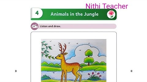 3rd std malar English term 2 unit 4 animals in the jungle English work book ans key pg46-63 class 3