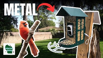 This Metal Smart Bird Feeder is Built To Last (Soliom BF08 Smart Bird Feeder Review)