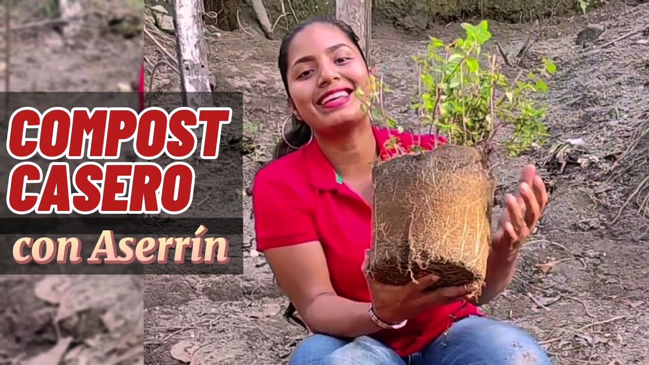 Mejora el desarrollo de tus plantas con este Compost casero.