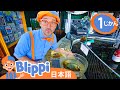うみのいきものをしろう ☆ 英語を学ぶ ☆ Blippi Learns About Sea Creatures ☆ ブリッピー 日本語 ☆ 子供け教育動画 Blippi