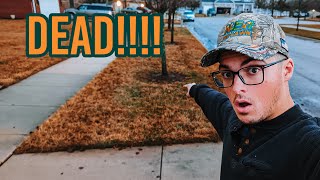 MY LAWN IS DEAD!!! Said EVERYONE Ever ON The INTERNET!!! N-Ext™ DIY Lawn Care Tips by N-Ext DIY Lawn 1,805 views 1 year ago 3 minutes, 33 seconds
