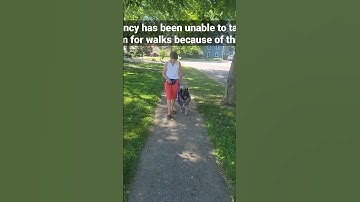 First time working with a prong collar, Starting slowly