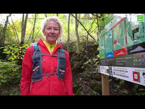 Video: Waar Vind Je Een Gids Voor Wandelen In De Bergen Of In Het Bos