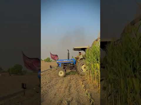 New holland silage
