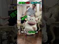 超面白い中国の変なダンス