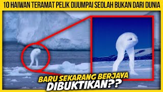 10 HAIWAN TERAMAT PELIK DIJUMPAI SEOLAH BUKAN DARI DUNIA