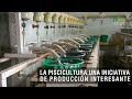 La piscicultura: una iniciativa de producción interesante- TvAgro por Juan Gonzalo Angel Restrepo