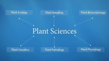 Publish with Springer in Plant Sciences