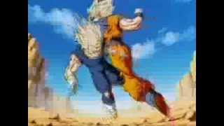 DBZ- Limp Bizket