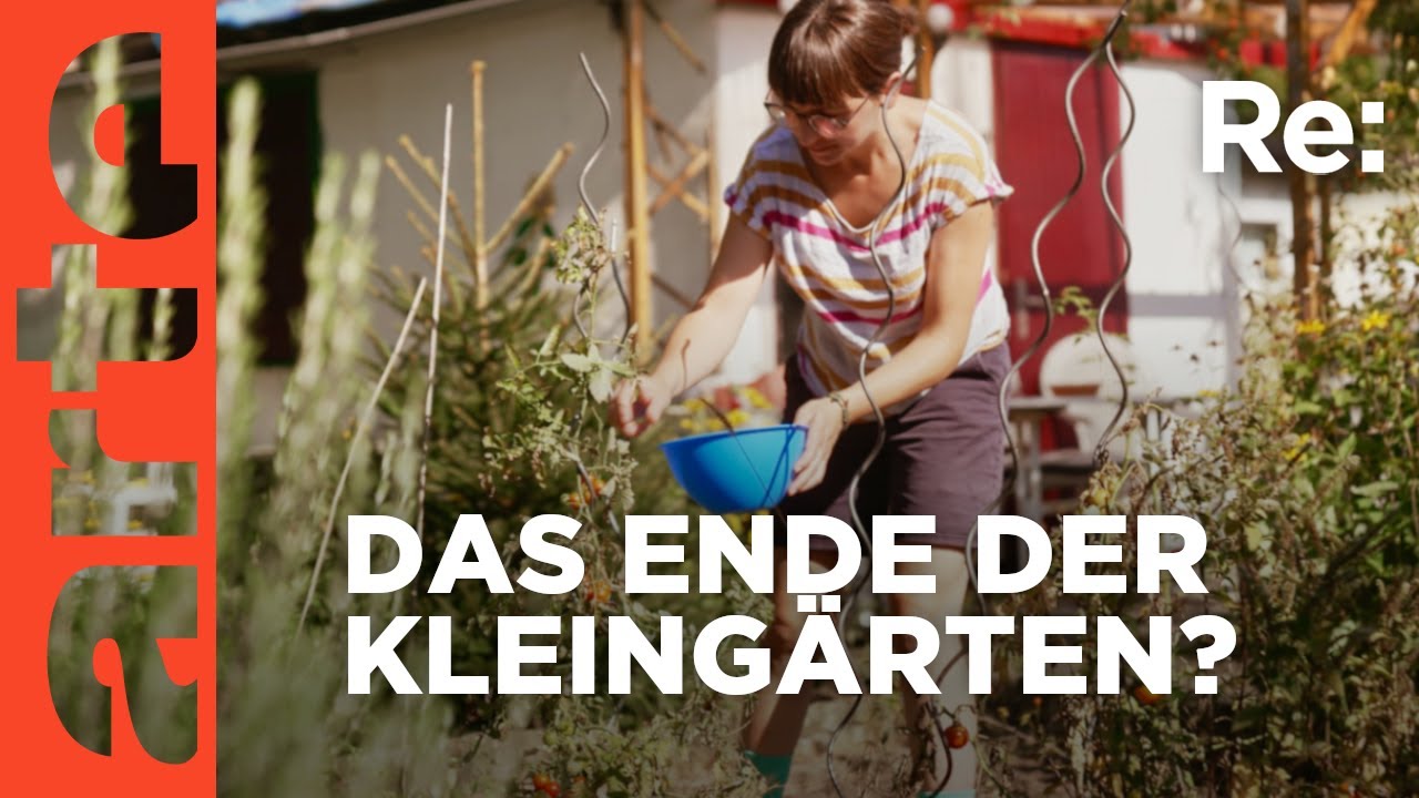 Jenseits der Hecke: Clash der Kulturen im Kleingarten (SPIEGEL TV für ARTE Re:)