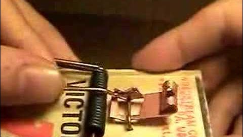 How to set a mouse trap