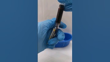 Transferring collected blood into a SST tube #cls #mls #laboratory #medtechstudent #bloodcollection