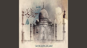 طارق محمد سورة الرعد