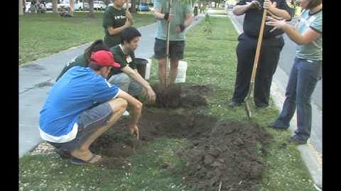 CAL FIRE Grants Increase Urban Forestry