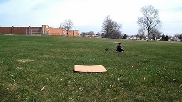 Walkera Mini CP BL: Close-up