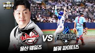 전직 빅리거 최지만에 도전장 내민 🔥불꽃 파이터즈🔥 홈런왕? #최지만