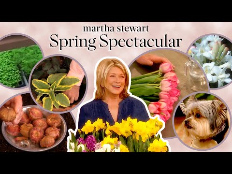 Martha Stewart's Spring Spectacular | Best Springtime Hacks