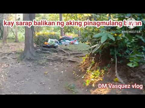 Probinsya ang sarap balikan