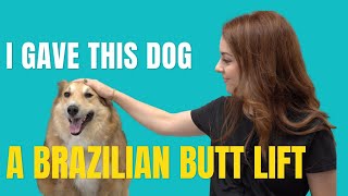 I gave this dog a Brazilian butt lift