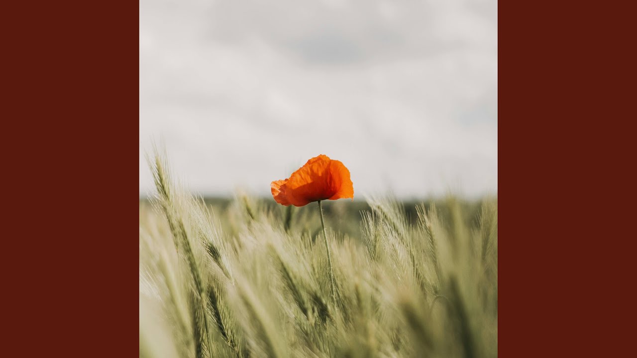 Silver Linings adlı videoyu YouTube'da izle Silver Linings adlı videoyu YouTube'da izle