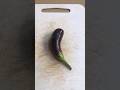 #vegetablecutting #shorts #shortsfeed #shortvideo #shortsviral #youtubeshorts #satisfying