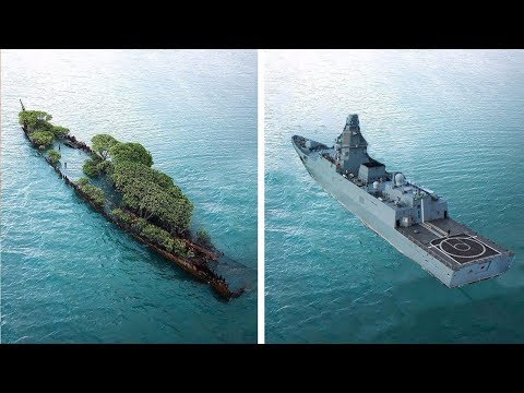 most-insane-camouflage-in-the-world