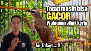 TRUCUKAN treatment for busy people||still able to sing well