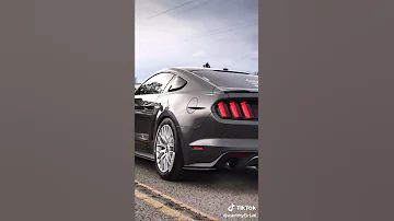 اغنيه شفتو بس اخر ما سوى قال ايش قال يهوى 