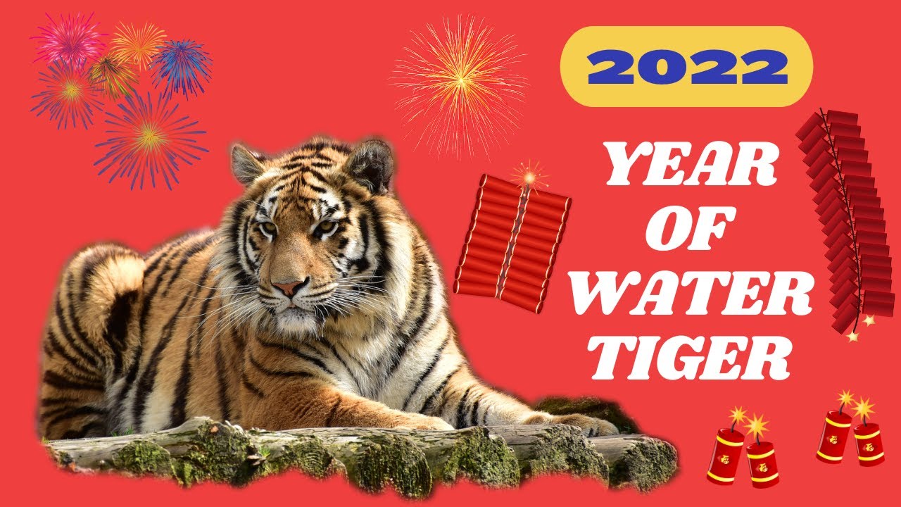 Zodiac “RABBIT” Forecast for 2022 the Year of Water Tiger