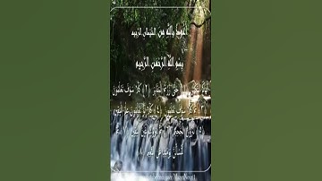 Sourate Al-Takathur | Idriss Abkar (102) سورة التكاثر | إدريس أبكر